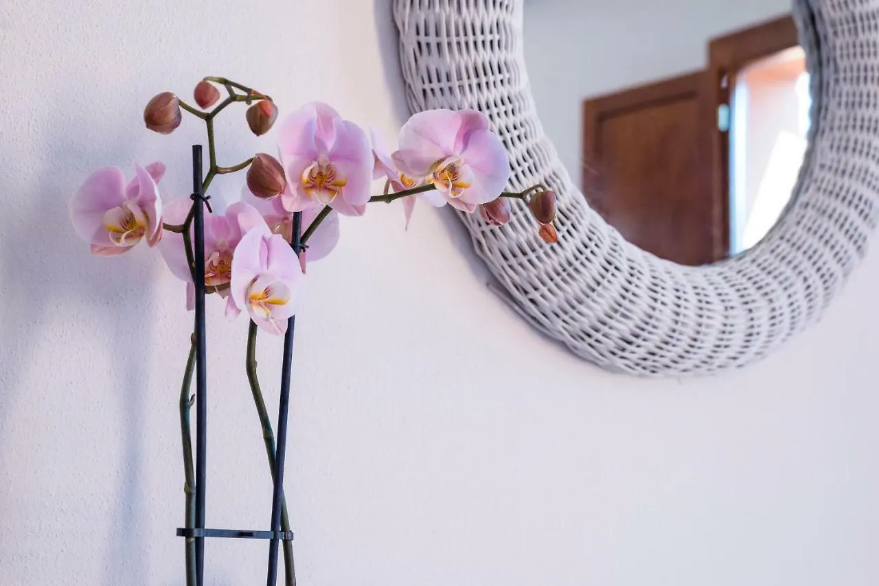 Romantic & Charming Apartment Scarlino 0*,  Italy